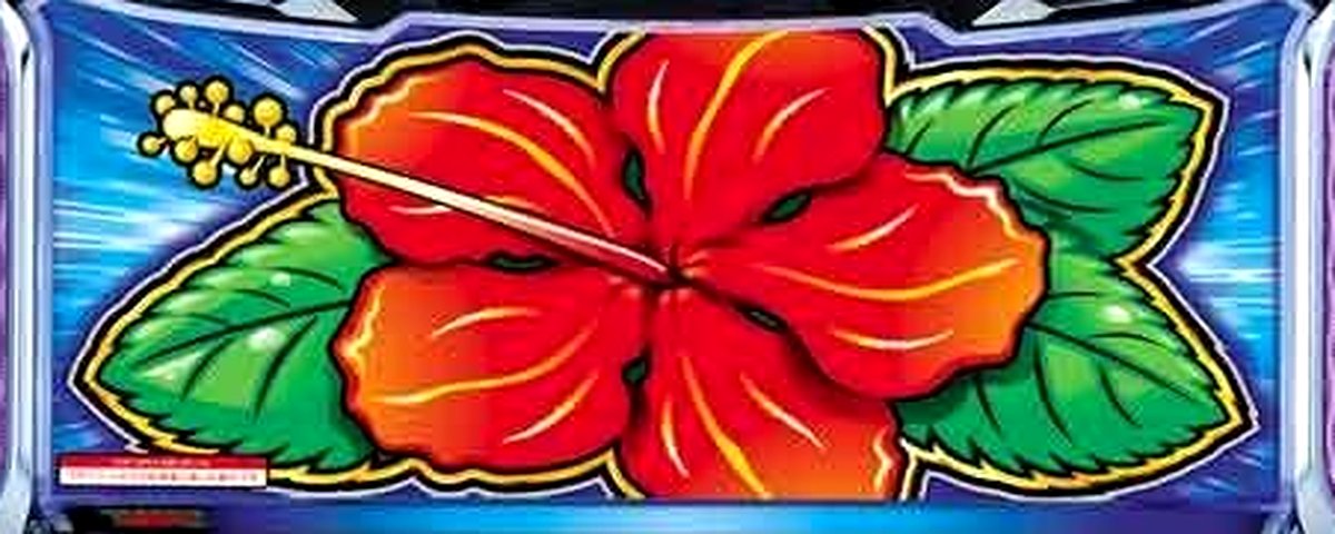 ハイビリターン‐30のヘッダー画像